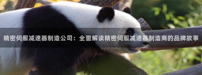 彩神购彩-购彩大厅入口36fr：精密伺服减速器制造公司：全面解读精密伺服减速器制造商的品牌故事