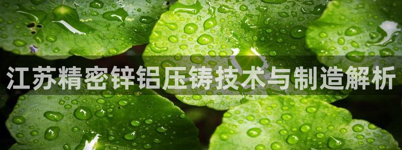 彩神ix是真的吗：江苏精密锌铝压铸技术与制造解析