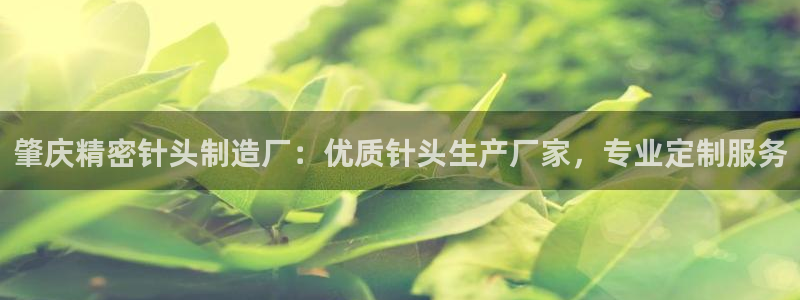 彩神是正规平台吗安全吗：肇庆精密针头制造厂：优质针头生产厂家，专业定制服务