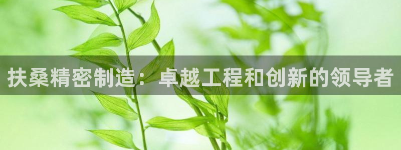 下载彩神v8：扶桑精密制造：卓越工程和创新的领导者