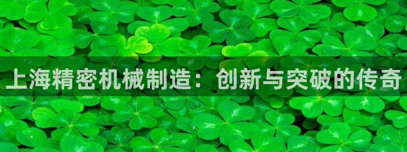 彩神旗下有哪些平台可以看：上海精密机械制造：创新与突破的传奇