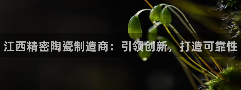彩神骗局：江西精密陶瓷制造商：引领创新，打造可靠性