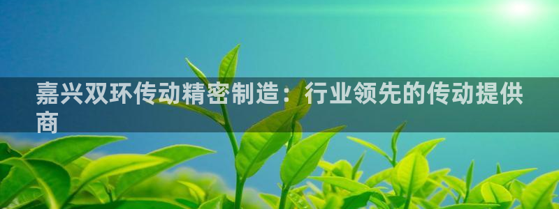 彩神v违法么：嘉兴双环传动精密制造：行业领先的传动提供
商