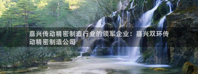 彩神8彩平台：嘉兴传动精密制造行业的领军企业：嘉兴双环传
动精密制造公司