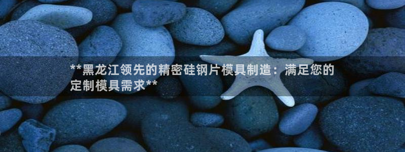 彩神Vii购彩-购彩大厅：**黑龙江领先的精密硅钢片模具制造：满足您的
定制模具需求**