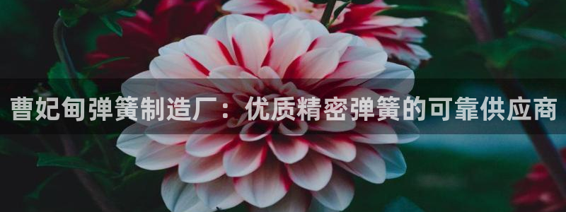 有谁知道彩神争霸的网