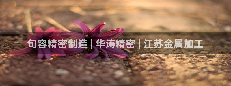 彩神 好 平台：句容精密制造 | 华涛精密 | 江苏金属加工