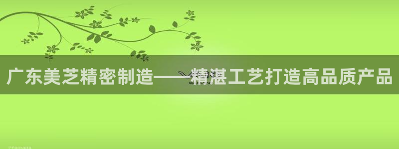 彩神v8是一个什么平台游戏：广东美芝精密制造——精湛工艺打造高品质产品